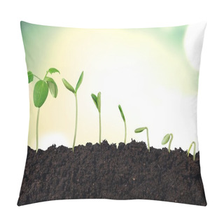 Personality  Growth Of New Life Pillow Covers