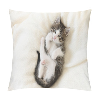 Personality  Cute Brown Kitten Cat On A White Blanket At Home Close-up Looking At The Camera Pillow Covers
