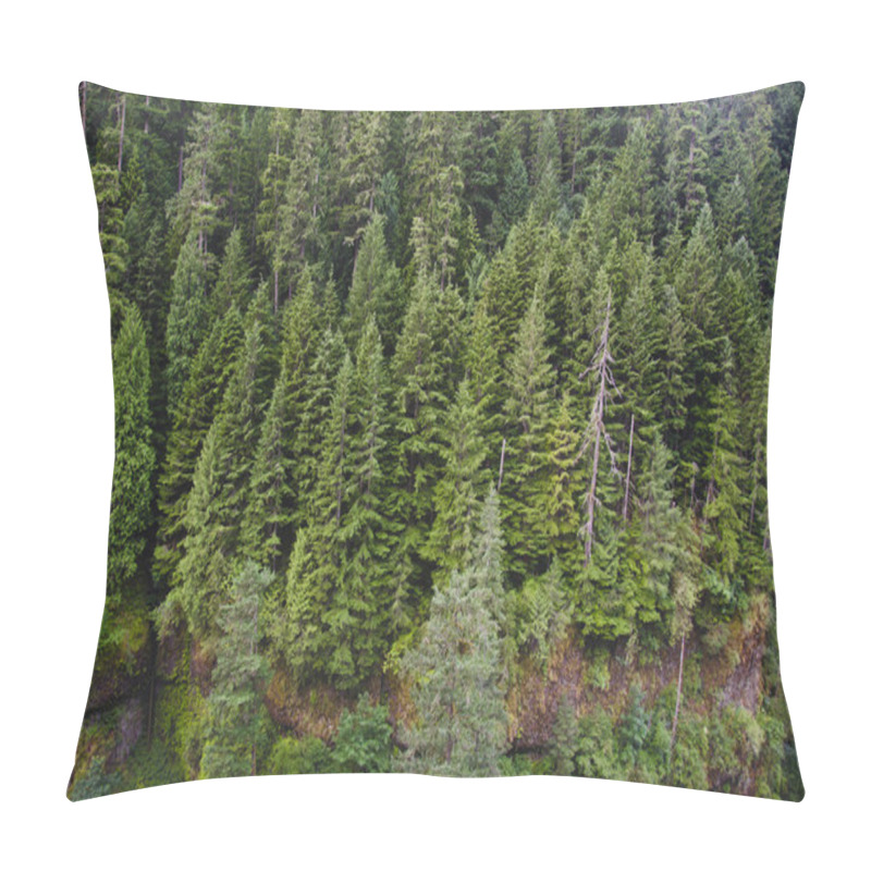 Personality  Douglas fir forest pillow covers
