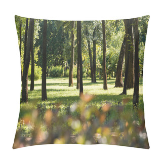 Personality  Selective Focus Of Trees With Green Leaves In Peaceful Park Pillow Covers