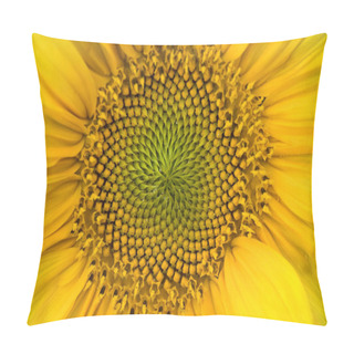 Personality  Sunflower Close Up View Pillow Covers