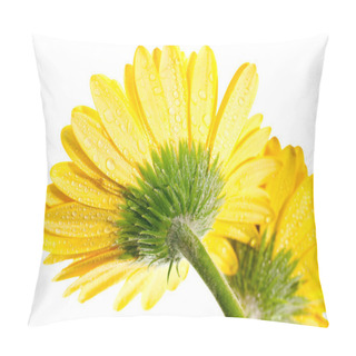 Personality  Yellow Gerbera Flower Extreme Close Up Back View Pillow Covers