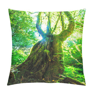 Personality  Green Forest Sunlight Pillow Covers