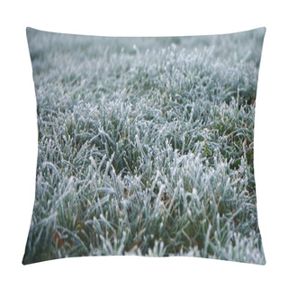 Personality  Meadow With Grass Covered In Frost On A Cold Winter Morning Pillow Covers