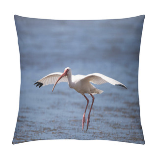 Personality  American White Ibis Eudocimus Albus Bird Flies Pillow Covers