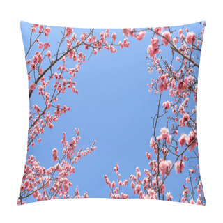 Personality  Apricots In Full Bloom In Spring Pillow Covers