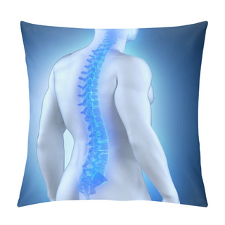 Personality  Human Spine Anatomy Pillow Covers