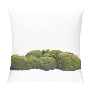 Personality  Green Moss Pillow Covers