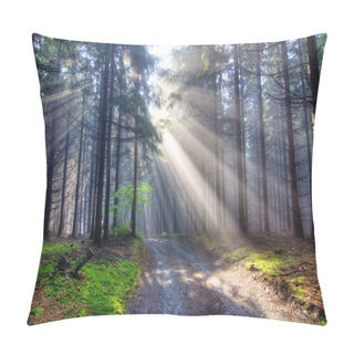 Personality  Gift Of Light - God Beams Pillow Covers