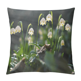 Personality  Snowflake Flower Blossoming. One Of The First To Be Seen In Spring. Pillow Covers