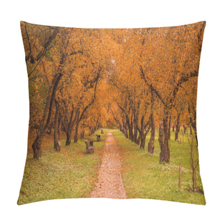 Personality  Colorful Foliage In The Autumn Park Pillow Covers