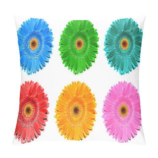 Personality  Pack Of Colored Gerbera Flowers Macro Isolated On White Pillow Covers
