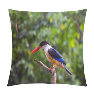 Personality  Bird (Black-capped Kingfisher) On A Tree Pillow Covers