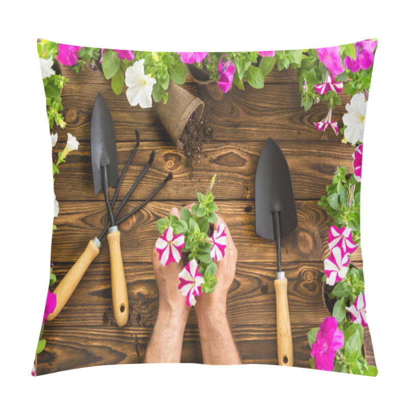 Personality  Man Or Gardener Holding A Bunch Of Spring Petunias Clasped In His Hands On A Wooden Garden Table With Colorful Flower Border, Set Of Garden Tools And Flowerpots For Transplanting Pillow Covers