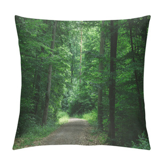 Personality  Path In Green Beautiful Dark Forest In Wurzburg, Germany Pillow Covers
