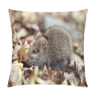 Personality  Gray Rat Pillow Covers
