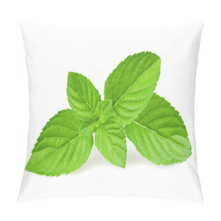 Personality  Mint Leaves Pillow Covers