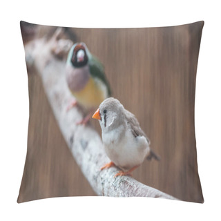 Personality  Selective Focus Of Colorful Birds On Wooden Branch Pillow Covers