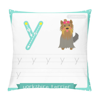 Personality  Letter Y Lowercase Cute Children Colorful Zoo And Animals ABC Alphabet Tracing Practice Worksheet Of Yorkshire Terrier Dog For Kids Learning English Vocabulary And Handwriting Vector Illustration. Pillow Covers