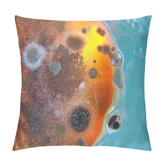Personality  Mold Growing In A Blue Dish Pillow Covers