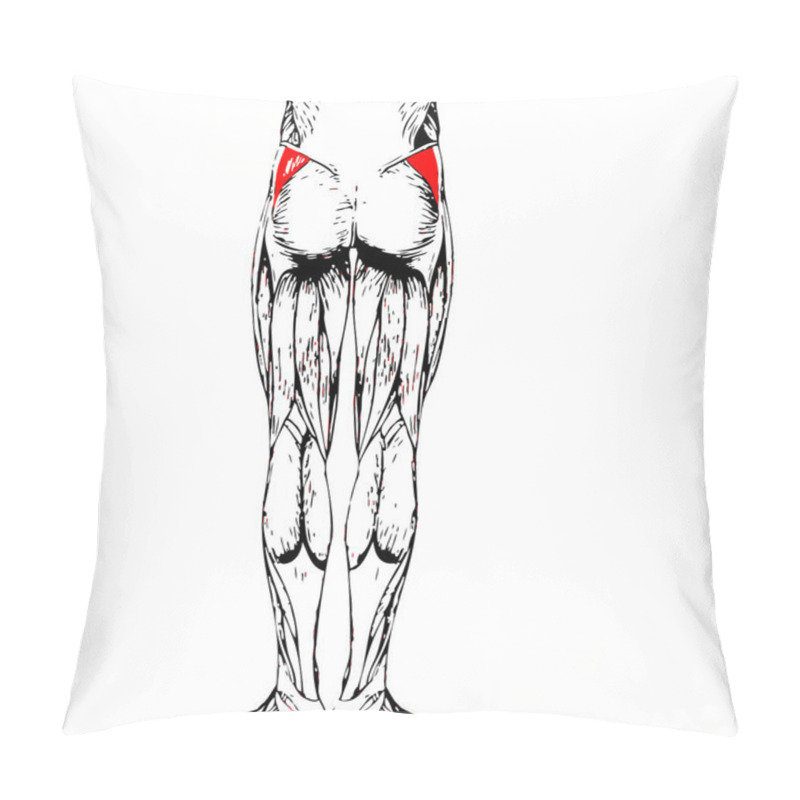 Personality  Human Upper Legs Anatomy Pillow Covers