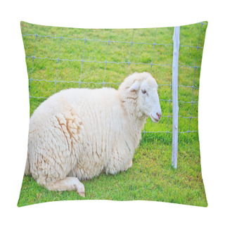 Personality  Sheep Herd On Farm Pillow Covers