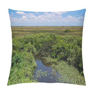 Personality  Florida Everglades Pillow Covers