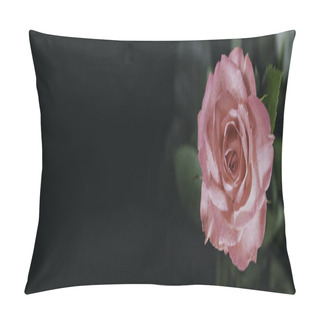 Personality  Beautiful Pink Flower Close Up On A Dark Background In Banner Format Pillow Covers