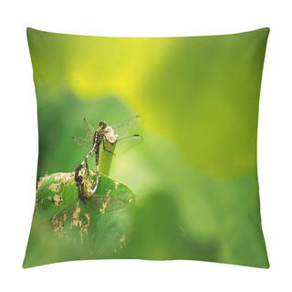 Personality  Dragonfly Mating Pillow Covers