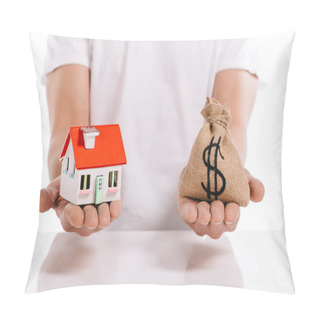 Personality  Cropped View Of Man Holding House Model And Moneybag Isolated On White, Mortgage Concept Pillow Covers