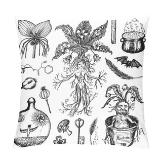 Personality  Mythical Mandrake Plant In Vintage Style. Fantasy Magic Flower And Ingredients For Witchcraft. Hand Drawn Engraved Old Retro Sketch. Vector Illustration. Pillow Covers
