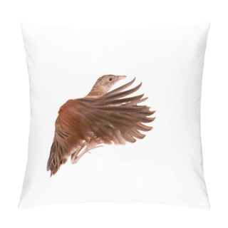 Personality  Corncrake Or Landrail, Crex Crex, On White Pillow Covers