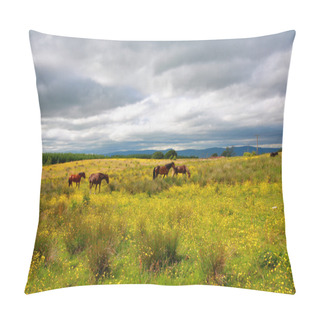 Personality  Beautiful Horse Close Up Pillow Covers