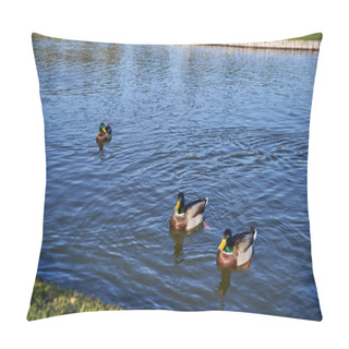 Personality  Animals And Nature, Ducks Swimming In Pond, Fall Season, Autumnal, Sunny Day, Flora, Fauna, Banner Pillow Covers