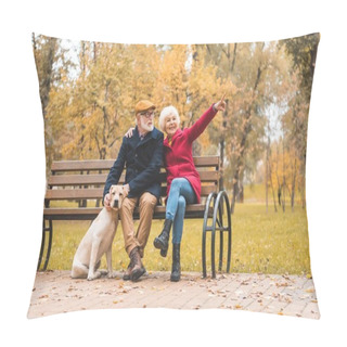 Personality  Senior Couple With Dog   Pillow Covers
