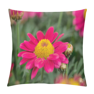 Personality  Red Marguerites Pillow Covers