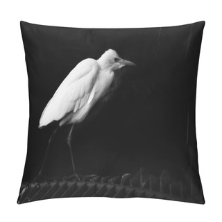 Personality  Wild White Bird Crane Walking .Black And White Picture Pillow Covers