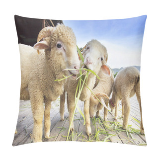 Personality  Merino Sheep Eating Ruzi Grass Leaves On Wood Ground Of Rural Ra Pillow Covers