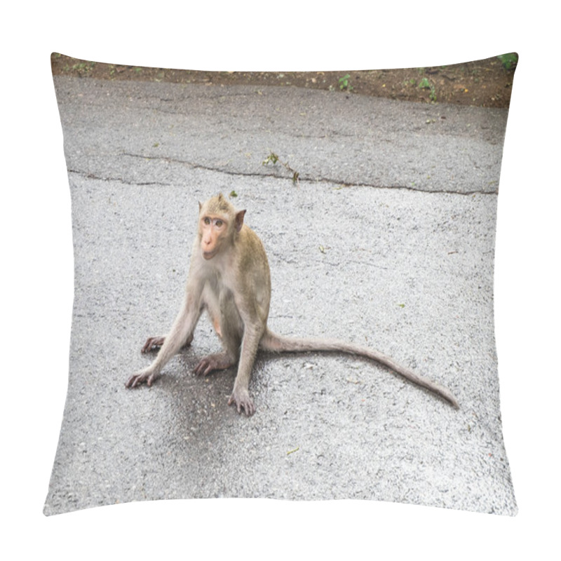 Personality  Long-tailed Monkey Sitting On Gravel Floor. Pillow Covers