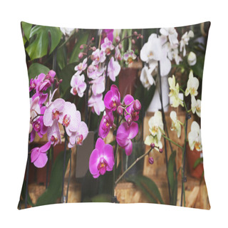 Personality  Orchid Flowers At Floral Shop Pillow Covers