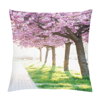 Personality  Beauty Pink Flowering Ornamental Trees Pillow Covers