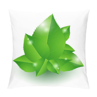 Personality  Vector Illustration Of Green Leaves. Pillow Covers