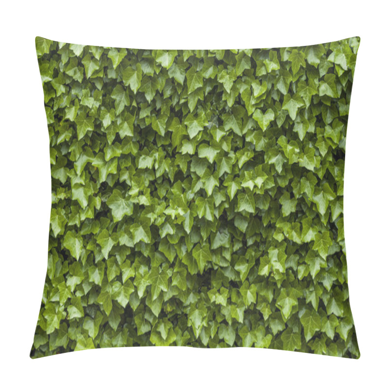 Personality  Wall Of Ivy Green Leaves Pillow Covers
