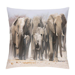 Personality  Elephant Herd Pillow Covers