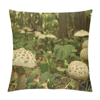 Personality  A Trail Of Light Scaly Mushrooms In A Shady Grove. Pillow Covers