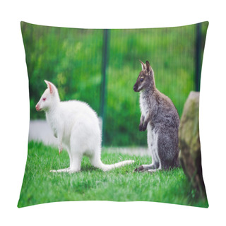 Personality  Little Kangaroo In A Small Farm Pillow Covers
