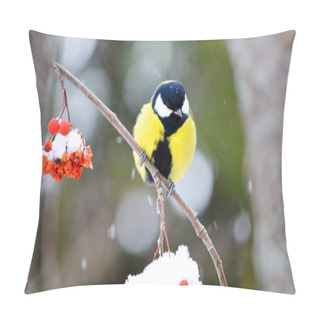 Personality  Birds Steppe Altai Pillow Covers