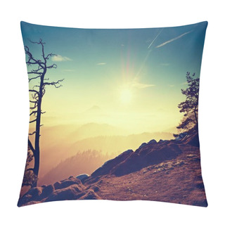 Personality  View Through Trees To Misty Valley Within Spring Daybreak. Foggy And Mist Pillow Covers