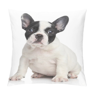 Personality  French Bulldog Puppy Pillow Covers