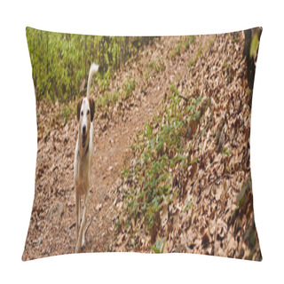 Personality  Photo Of Cute White Dog Running In Forest. Nature Photo Of Active Dogs, Pet In Fall, Banner Pillow Covers